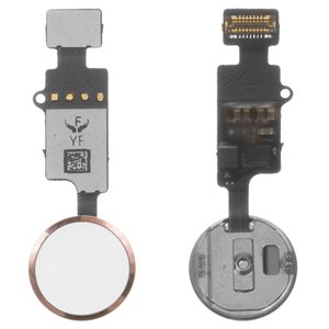 Cable flex puede usarse con iPhone 7, iPhone 7 Plus, iPhone 8, iPhone 8 Plus, iPhone SE 2020, de botón HOME, rosado, sin lector de huellas dactilares sin Touch ID , con plástico, YF, 4th gen